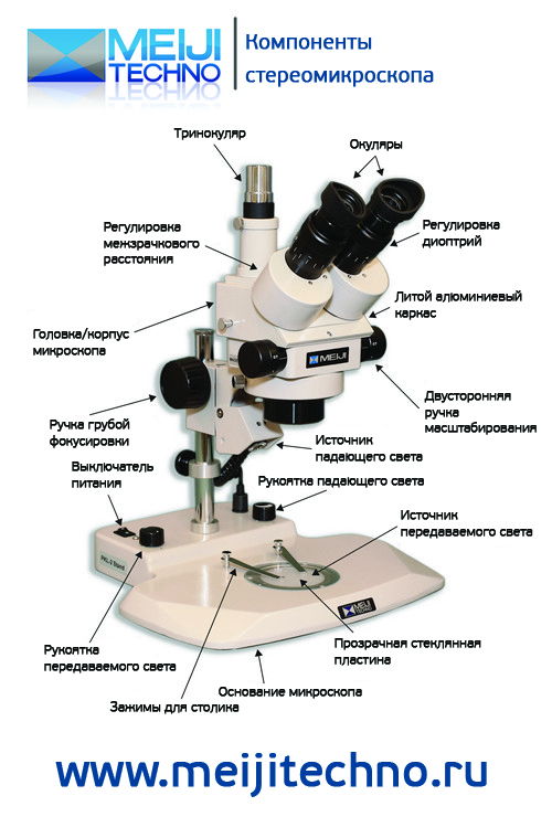 Компоненты стереомикроскопа