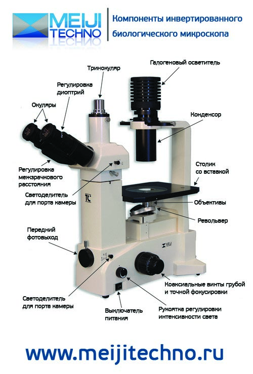 Компоненты инвертированного биологического микроскопа