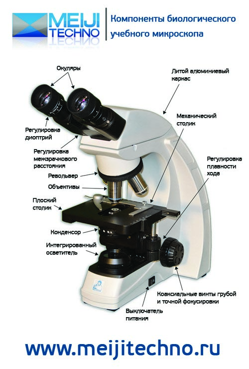 Компоненты биологического учебного микроскопа