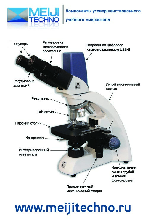 Компоненты усовершенствованного учебного микроскопа