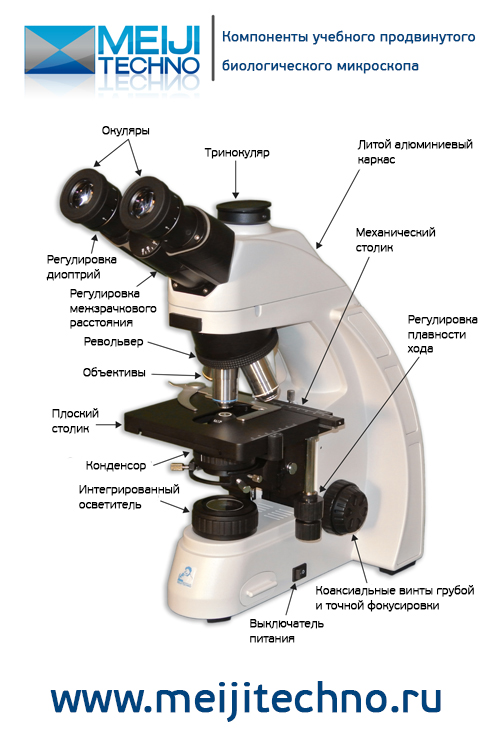 Компоненты продвинутого учебного биологического микроскопа