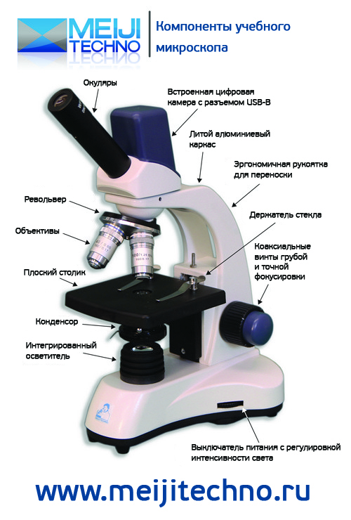 Компоненты учебного микроскопа