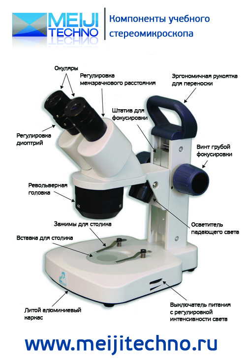 Компоненты учебного поляризационного микроскопа