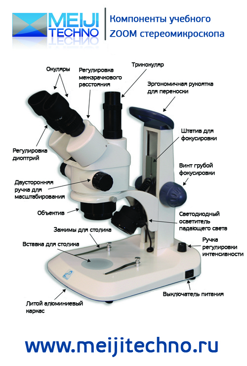 Компоненты учебного ZOOM стереомикроскопа