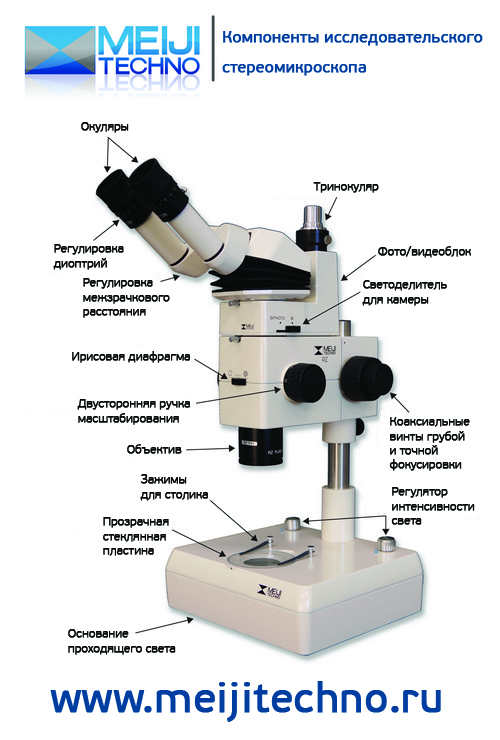 Компоненты исследовательского стереомикроскопа